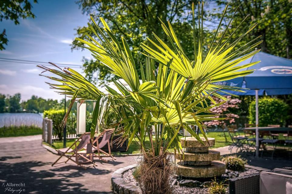 Sopherl Am See - Fruehstueck Auf Der Seeterrasse, Sehr Ruhig Und Wunderschoen Am See, 3 Minuten Nach Oberpfaffenhofen, Viele Radtouren, Restaurants & Cafes In Der Umgebung Weßling Exteriör bild